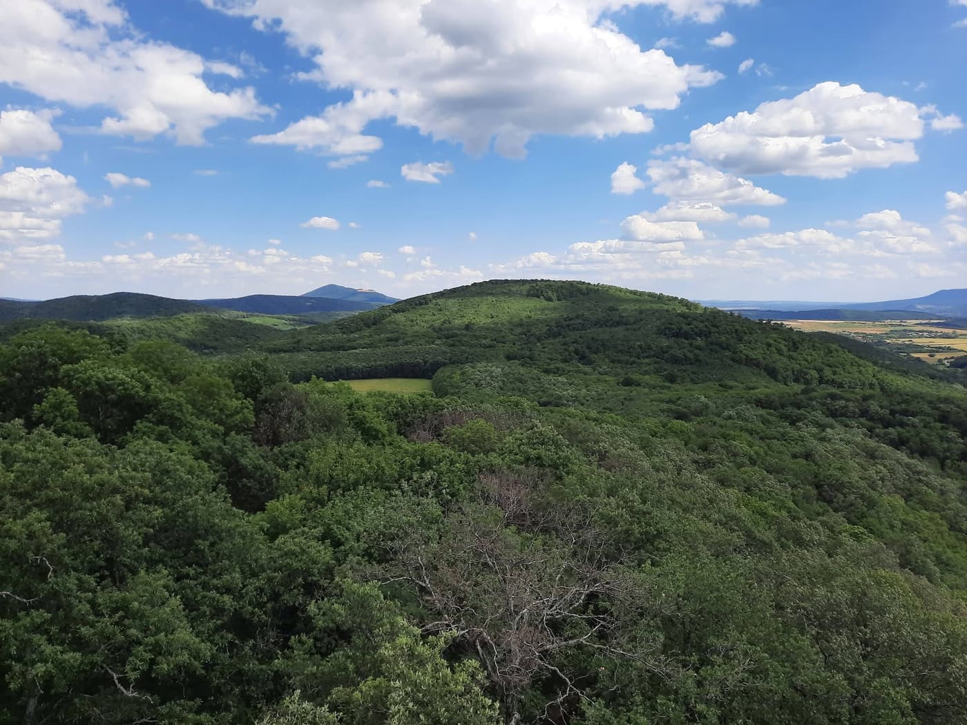 A királyréti Várhegy-kilátó a Börzsöny egyik kedvelt panorámapontja