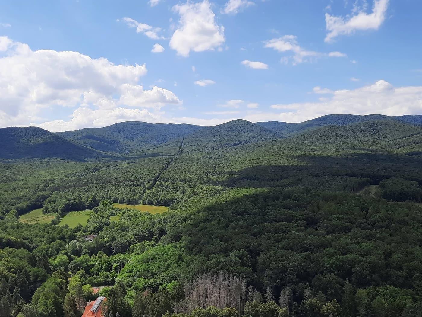 A királyréti Várhegy-kilátó a Börzsöny egyik kedvelt panorámapontja