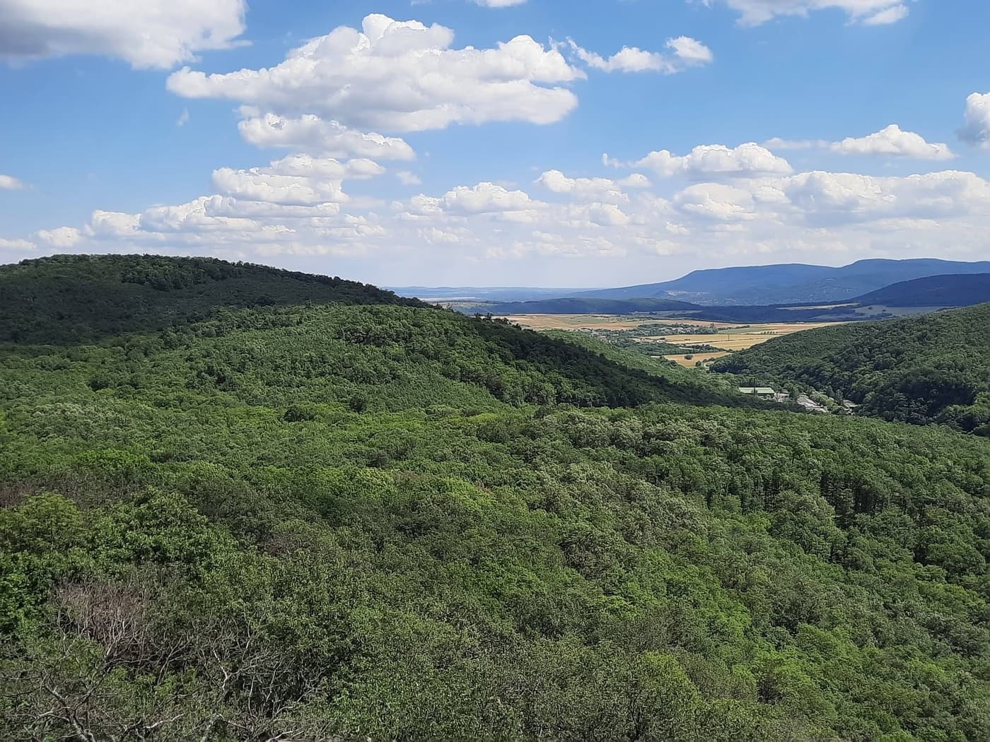 A királyréti Várhegy-kilátó a Börzsöny egyik kedvelt panorámapontja