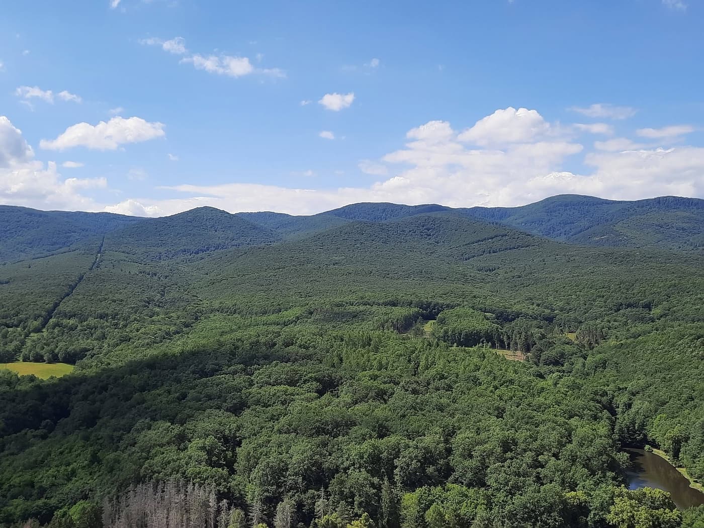 A királyréti Várhegy-kilátó a Börzsöny egyik kedvelt panorámapontja