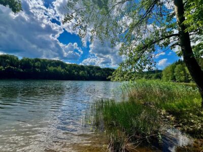 Csórréti-víztározó: erdei víztükör a Mátra magasában