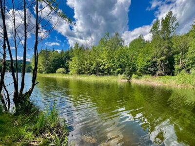 Csórréti-víztározó: erdei víztükör a Mátra magasában