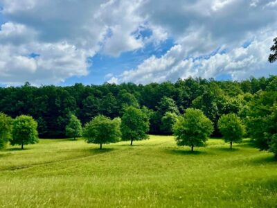 Visszhang-rét a Mátrában: rövid megálló különleges hanghatással