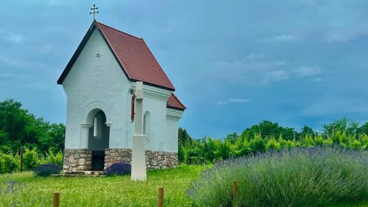 Szent Bertalan-kápolna Palkonyán – fényre tájolt épület a szőlőhegyen