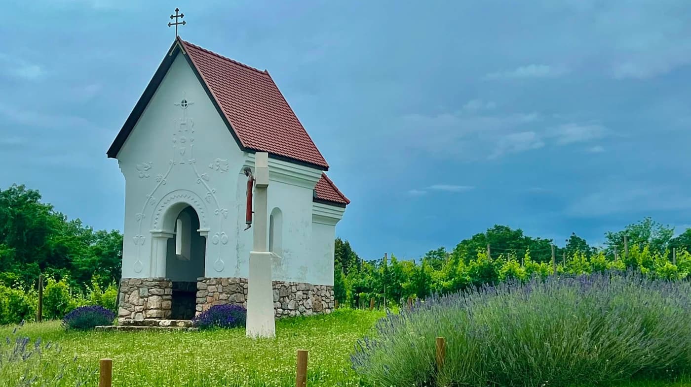 Szent Bertalan-kápolna Palkonyán – fényre tájolt épület a szőlőhegyen