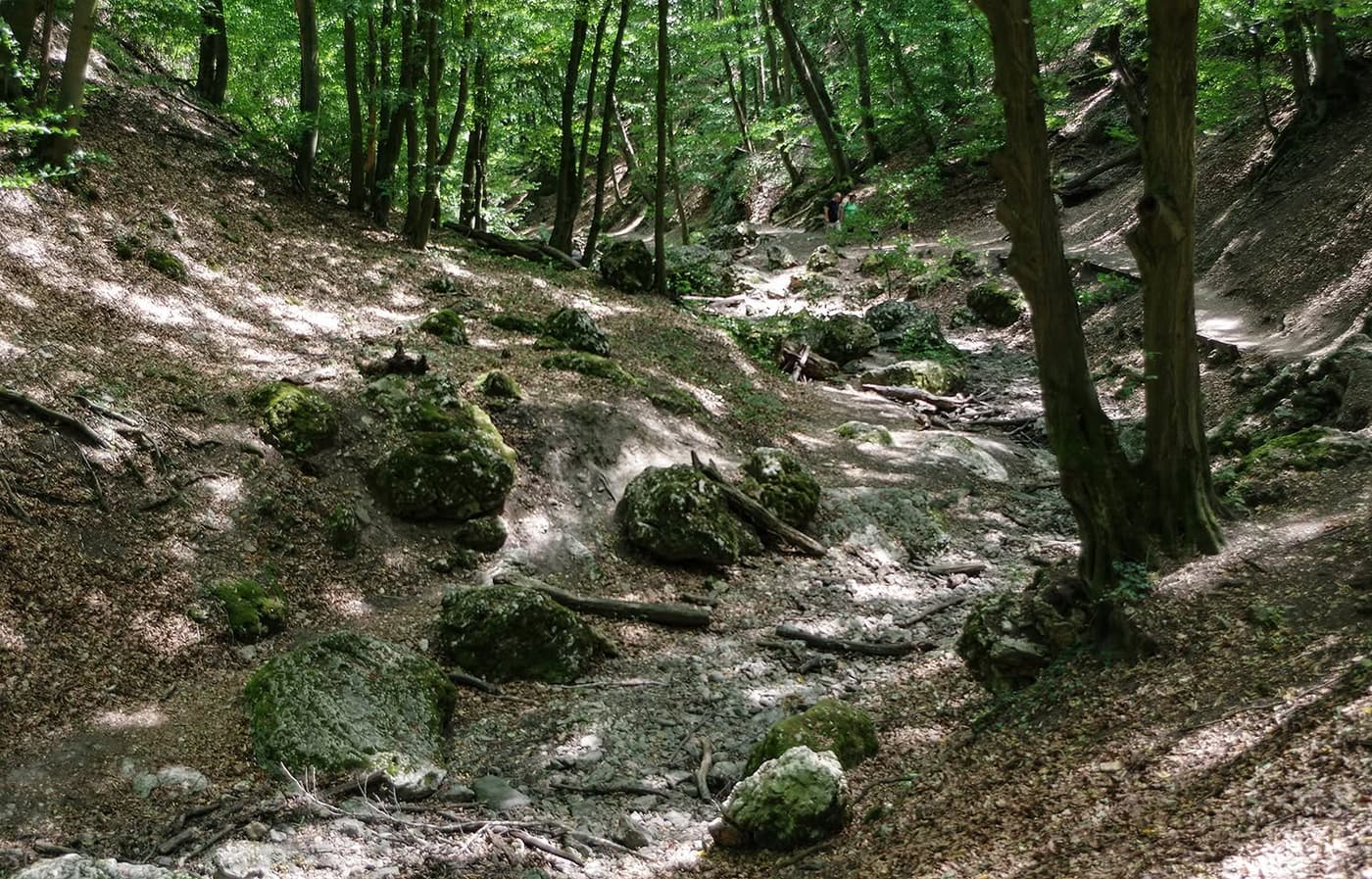 A Pilis egyik legszebb túrája vezet végig a Dera-szurdokon