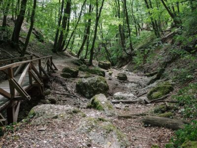 A Pilis egyik legszebb túrája vezet végig a Dera-szurdokon