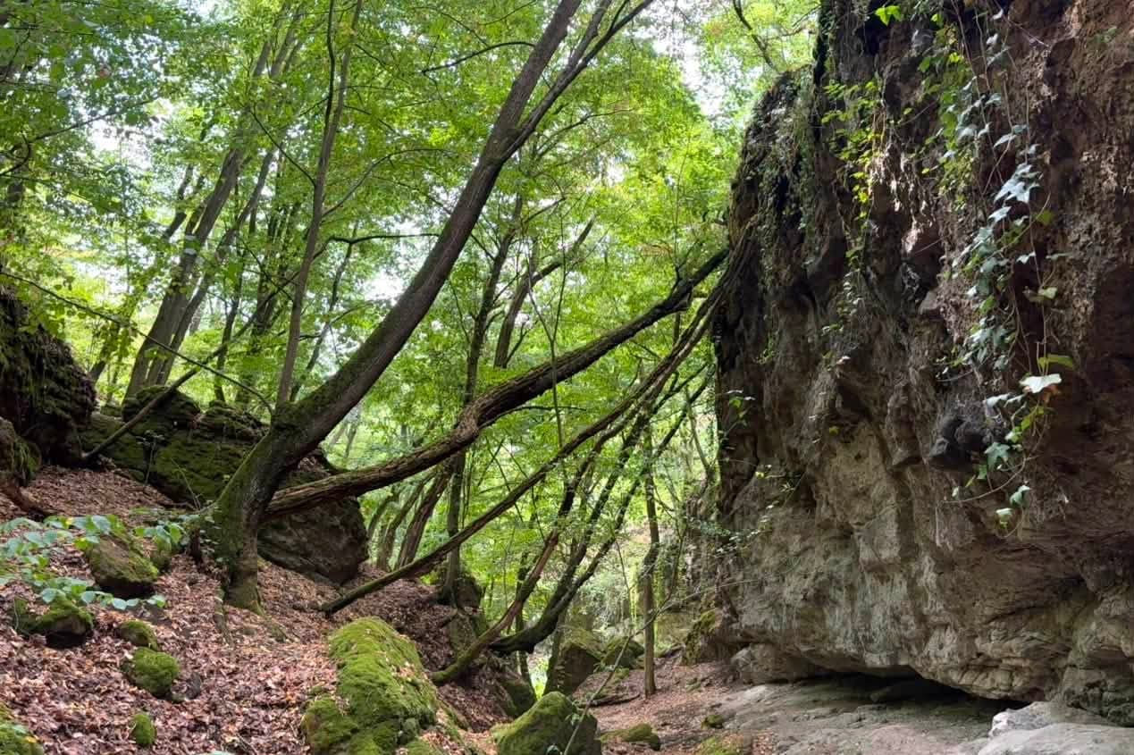 Szakadás-árok: sziklás szurdok Tar határában