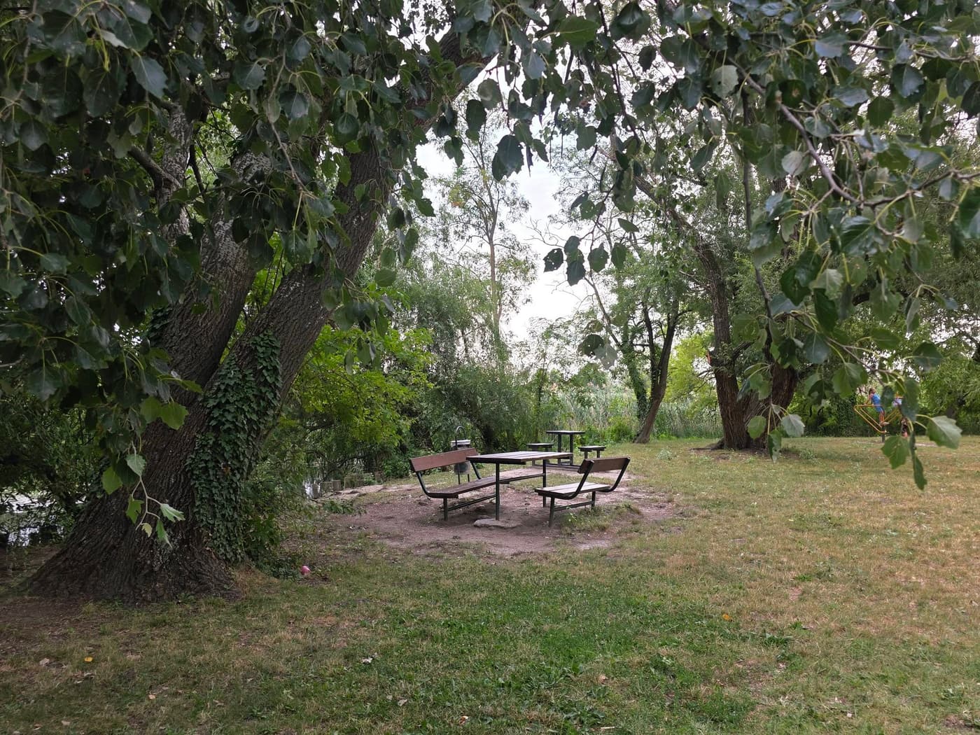 Különleges lápvilág vár Szigetszentmiklóson, Budapest közelében