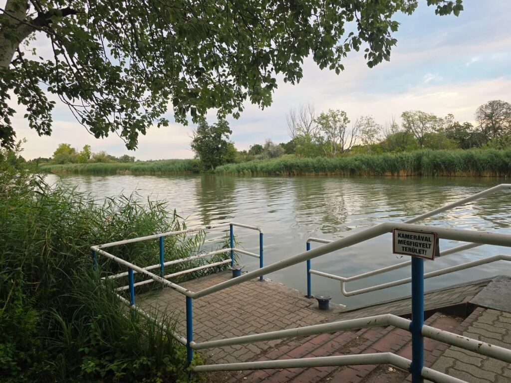 Különleges lápvilág vár Szigetszentmiklóson, Budapest közelében