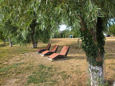 Hangulatos tóparti park vár könnyű sétára Törökbálinton