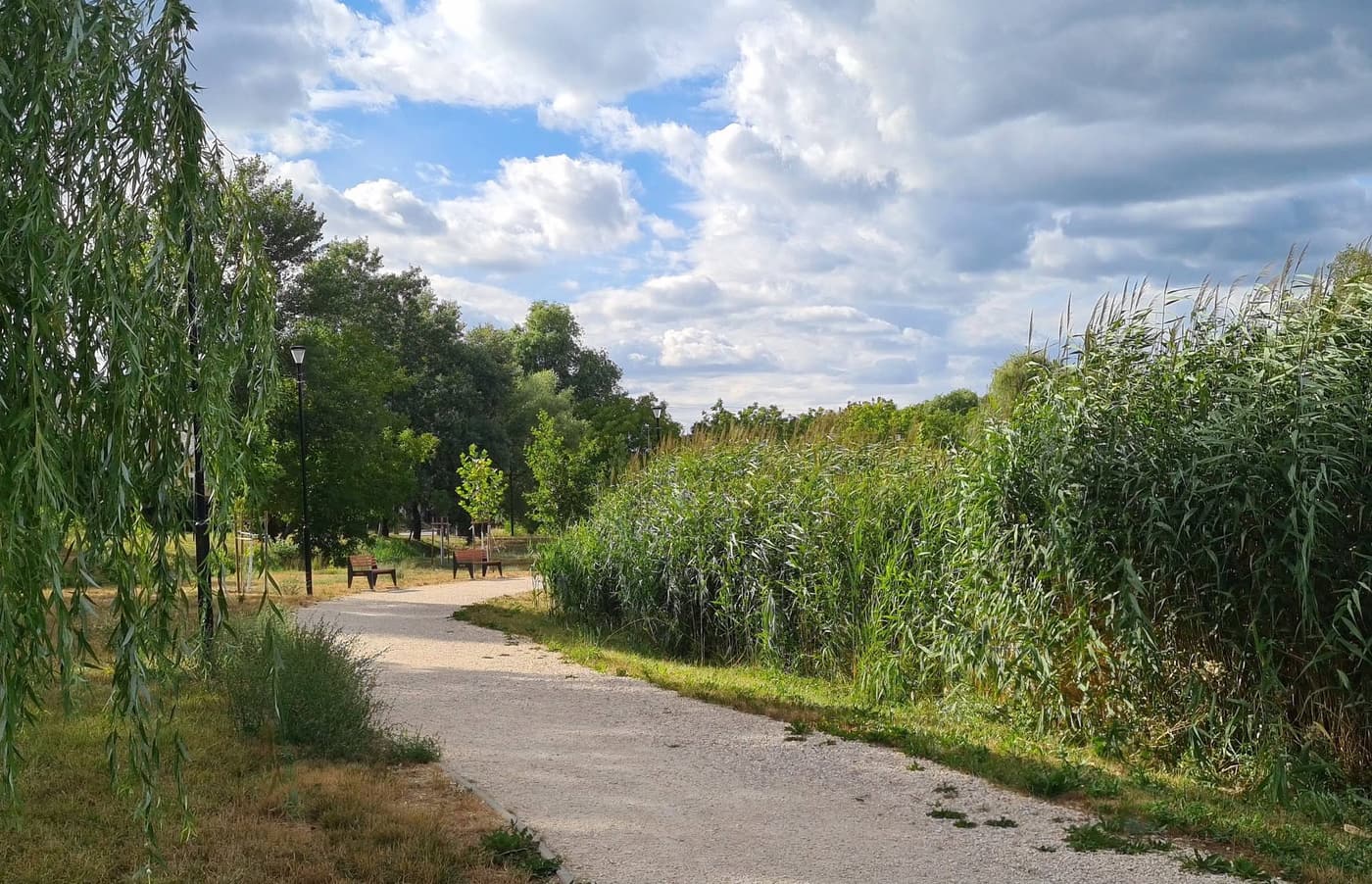 Hangulatos tóparti park vár könnyű sétára Törökbálinton