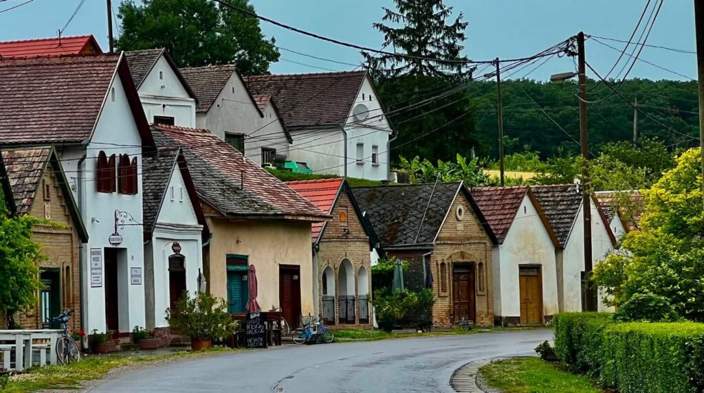 Villánykövesd pincesora – sváb örökség a Villányi borvidéken