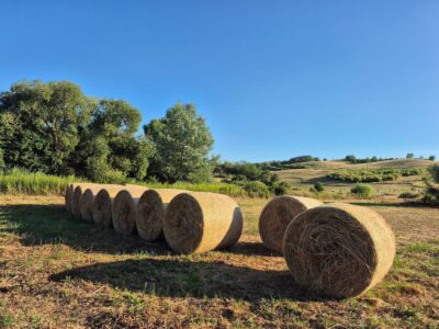 Bakonycsernye két tava, amit érdemes útba ejteni