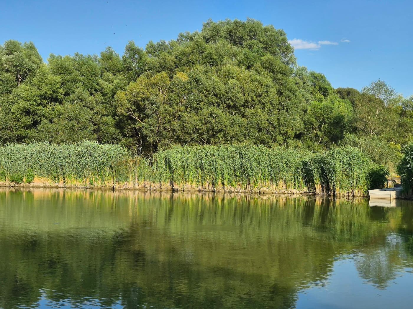 Bakonycsernye két tava, amit érdemes útba ejteni