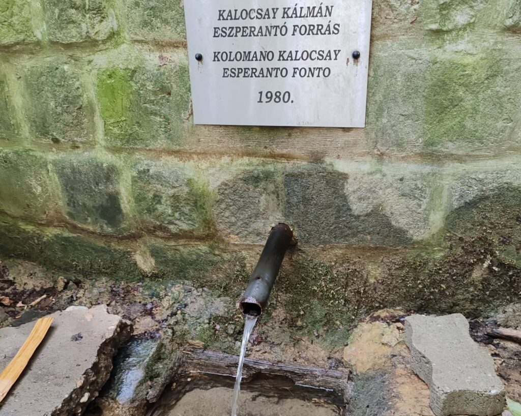 Kőszikla-szurdok: létrás kalandtúra a zalai dombok között