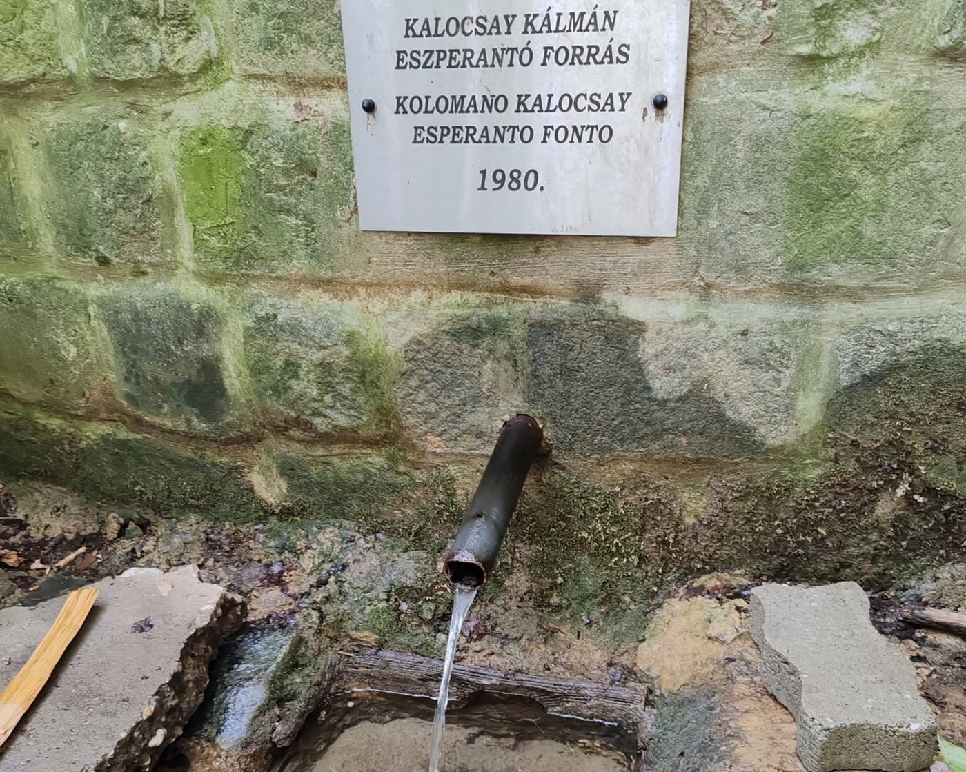 Kőszikla-szurdok: létrás kalandtúra a zalai dombok között