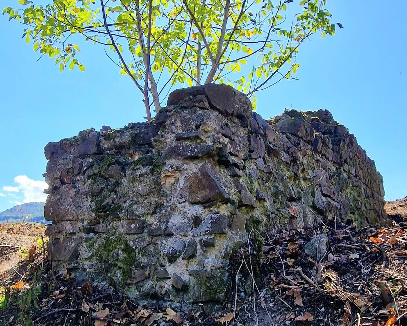 Cserteri vár: évszázados romok és panoráma a Mátrában