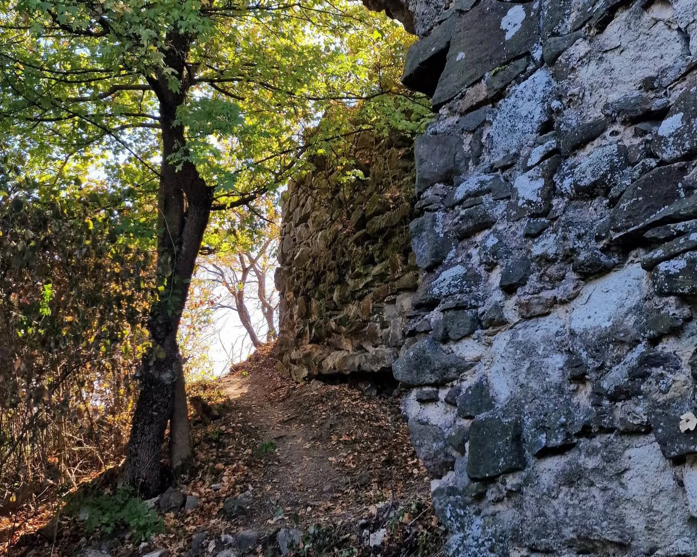 Cserteri vár: évszázados romok és panoráma a Mátrában