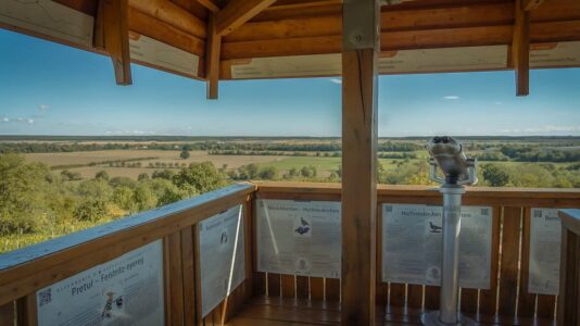 Csömötei-kilátó: könnyű kirándulás nagy panorámával Kőszeg közelében