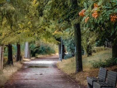 Kora őszi arcát mutatja a szombathelyi Csónakázó-tó