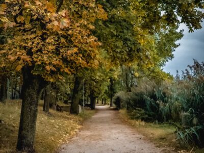 Kora őszi arcát mutatja a szombathelyi Csónakázó-tó