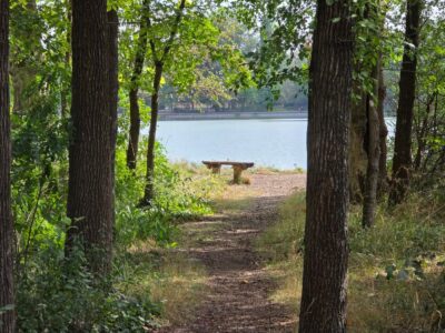 A tatai Cseke-tó és az Angolkert különleges világa
