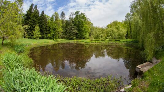 Budafai Arborétum, Kiscsehi