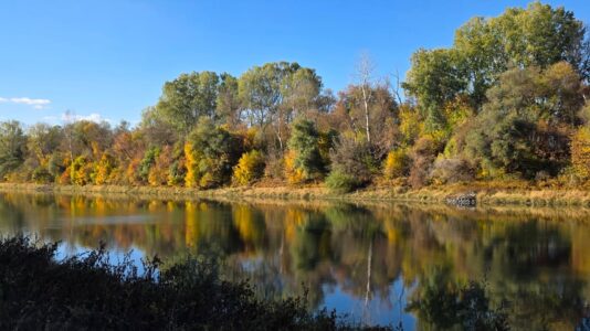 Martfű, ahol a Tisza kanyarulata különleges tájat formált