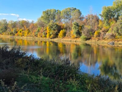 Martfű, ahol a Tisza kanyarulata különleges tájat formált