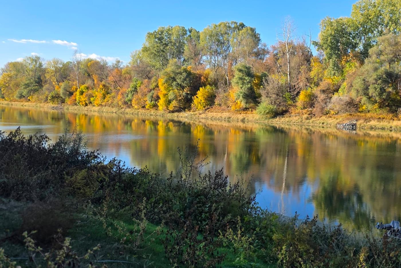 Martfű, ahol a Tisza kanyarulata különleges tájat formált