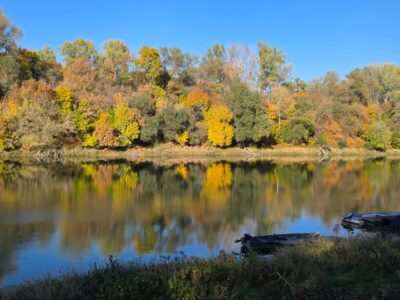 Martfű, ahol a Tisza kanyarulata különleges tájat formált