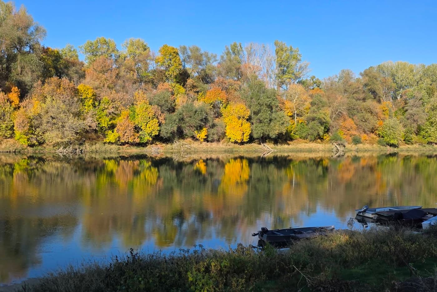 Martfű, ahol a Tisza kanyarulata különleges tájat formált