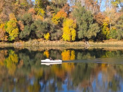 Martfű, ahol a Tisza kanyarulata különleges tájat formált