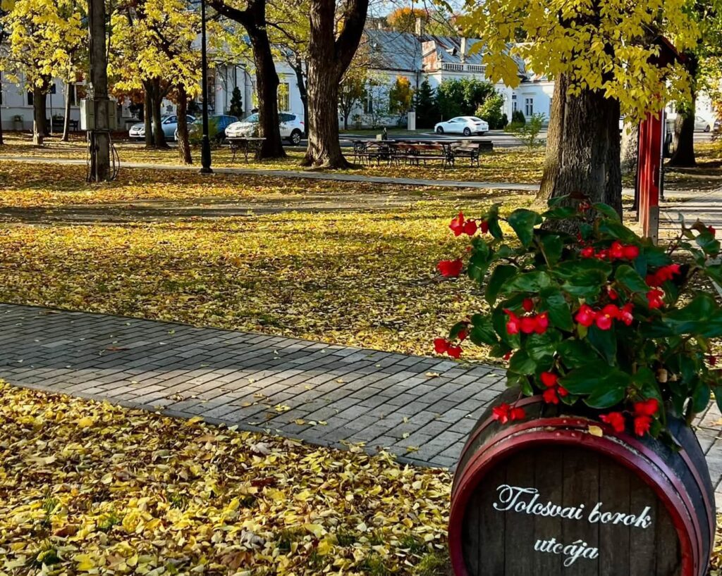 Tolcsva – kastélyok, történelmi pincék és évszázados emlékek Tokaj-Hegyalján