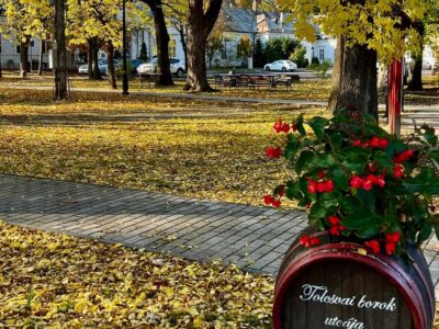 Tolcsva – kastélyok, történelmi pincék és évszázados emlékek Tokaj-Hegyalján