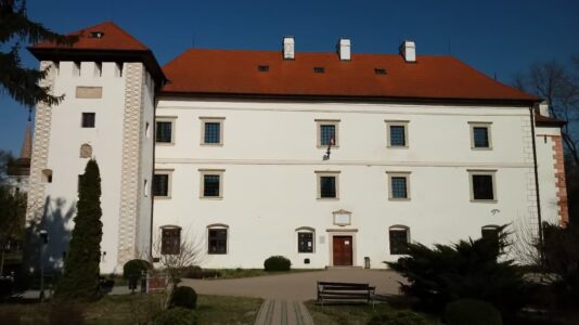 MNM Vay Ádám Muzeális Gyűjteménye, Vaja