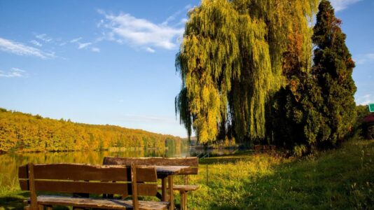 Őszi színek a Zalai-dombságban: a Kistolmácsi-tó és a Budafai Arborétum