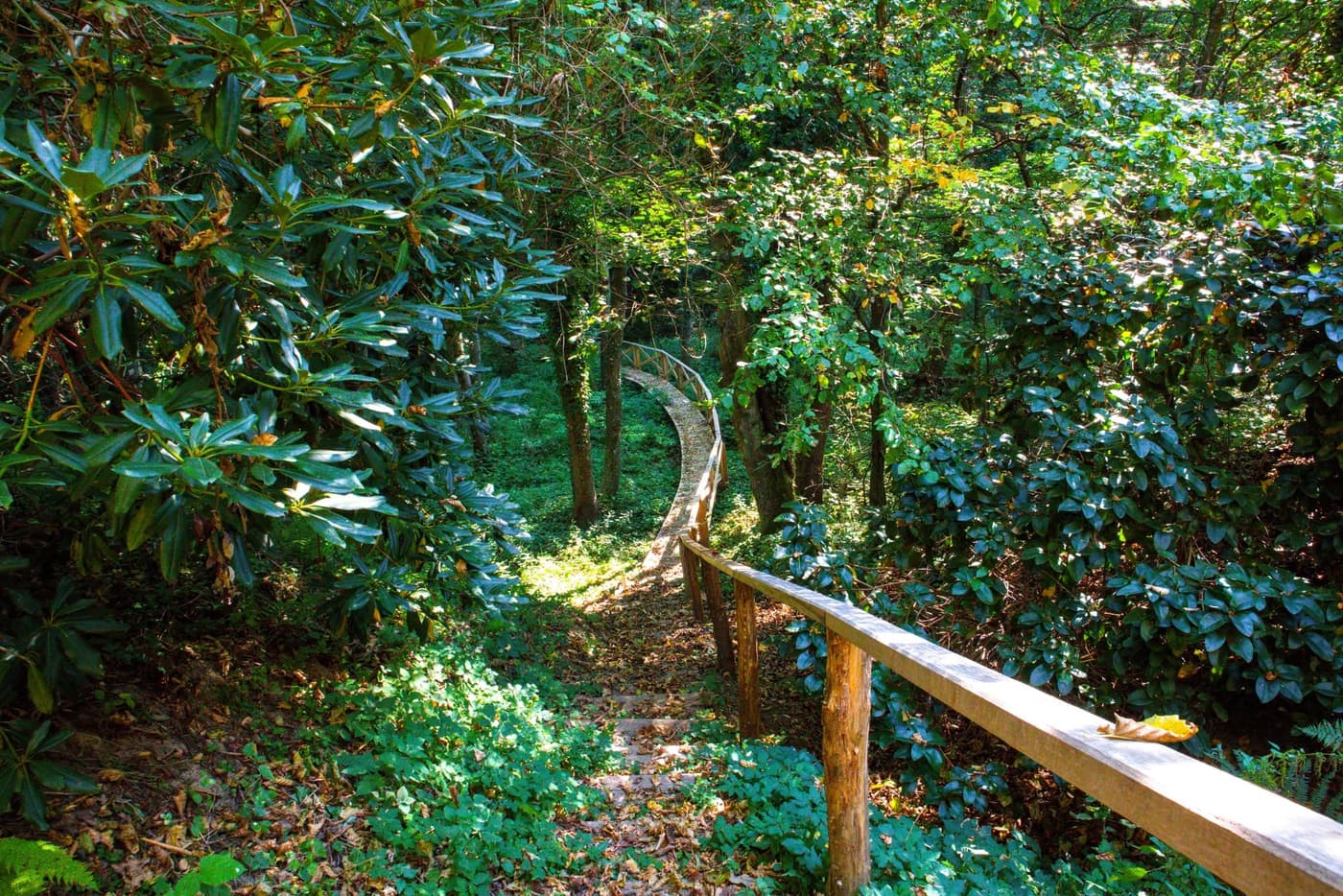 Őszi színek a Zalai-dombságban: a Kistolmácsi-tó és a Budafai Arborétum
