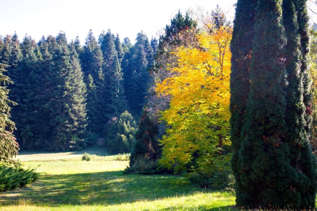 Őszi színek a Zalai-dombságban: a Kistolmácsi-tó és a Budafai Arborétum