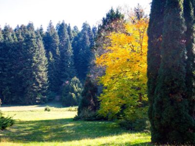 Őszi színek a Zalai-dombságban: a Kistolmácsi-tó és a Budafai Arborétum