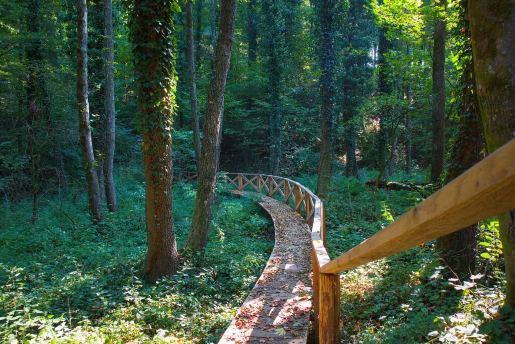 Őszi színek a Zalai-dombságban: a Kistolmácsi-tó és a Budafai Arborétum