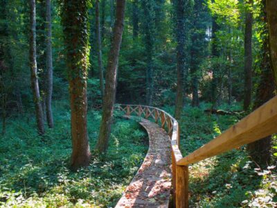 Őszi színek a Zalai-dombságban: a Kistolmácsi-tó és a Budafai Arborétum