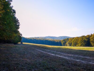 Őszi színek a Zalai-dombságban: a Kistolmácsi-tó és a Budafai Arborétum