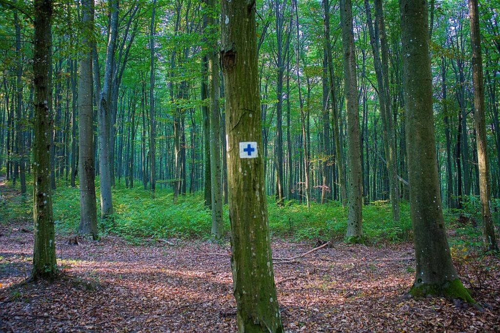 Őszi színek a Zalai-dombságban: a Kistolmácsi-tó és a Budafai Arborétum