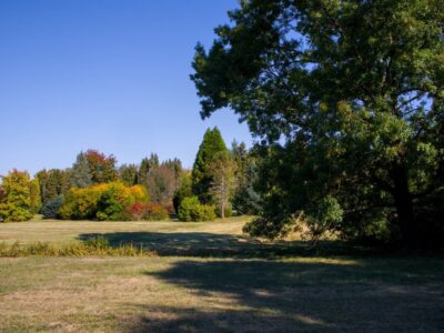 Őszi színek a Zalai-dombságban: a Kistolmácsi-tó és a Budafai Arborétum