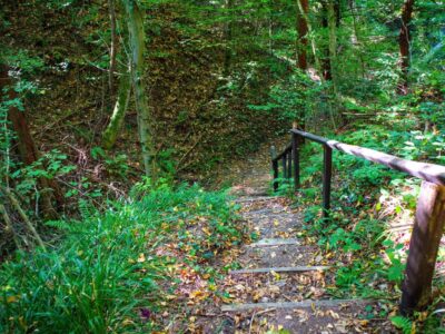 Őszi színek a Zalai-dombságban: a Kistolmácsi-tó és a Budafai Arborétum